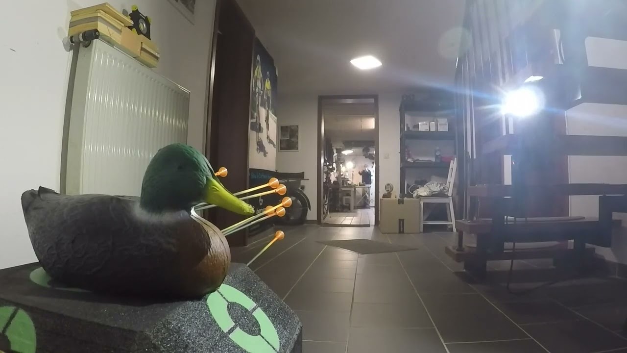 15 Meter auf die 3D Ente blasrohr mit Bambus Darts 16mm