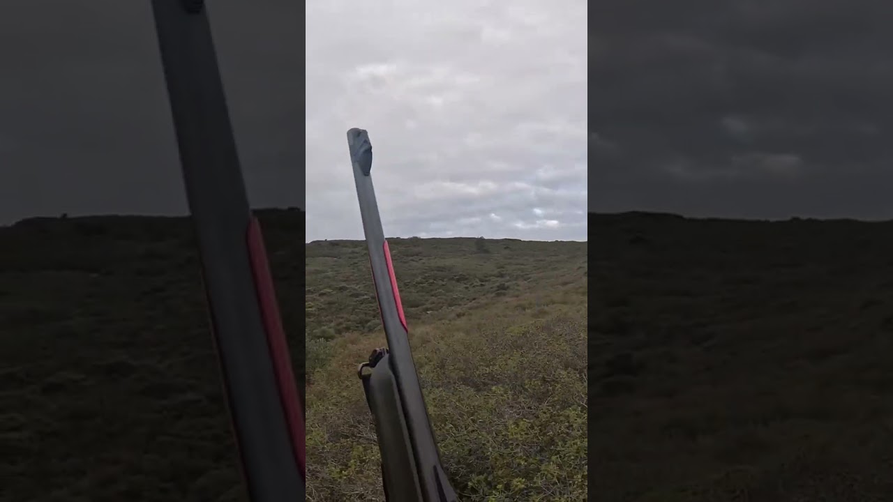 D&eacute;cid&eacute;ment quand t&rsquo;es pas bon&hellip; #hunting #boarhunting #chasse #sangliers #chasseur