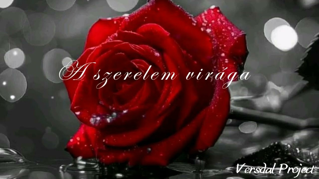 A szerelem virága