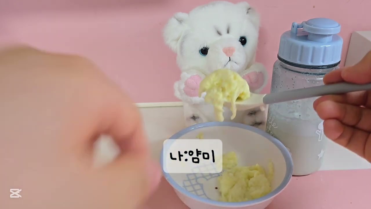 라떼가 독감에 걸렸어요😭