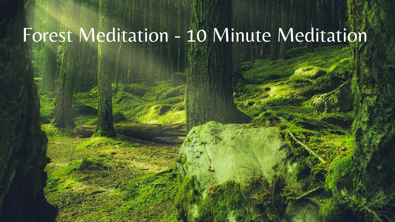 Forest Meditation - 10 minutes | Theta Waves 4hz 8hz