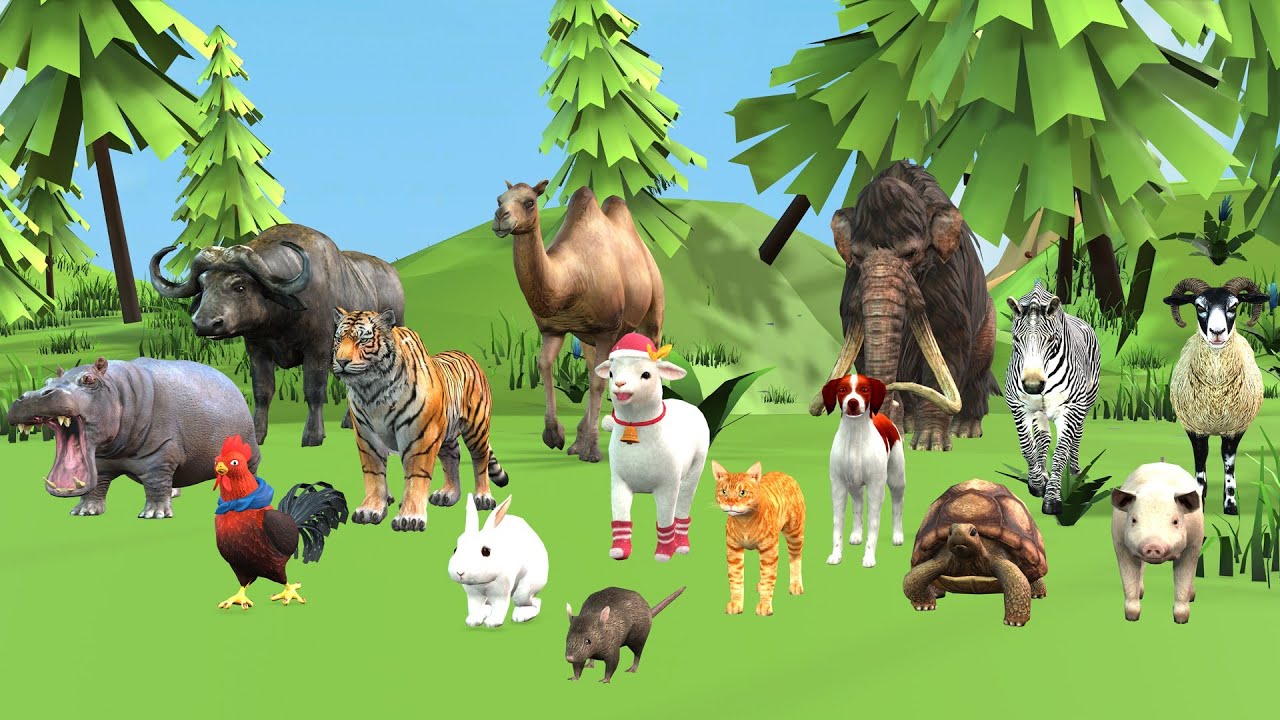 Long Slide Game With Elephant Gorilla Buffalo Hippopotamus Tiger 3d Animal Game Funny 3d Animals