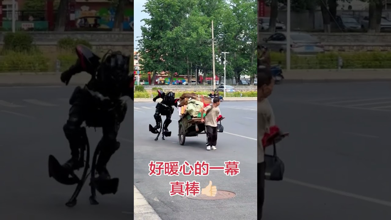 #funny#funnyvideo #police