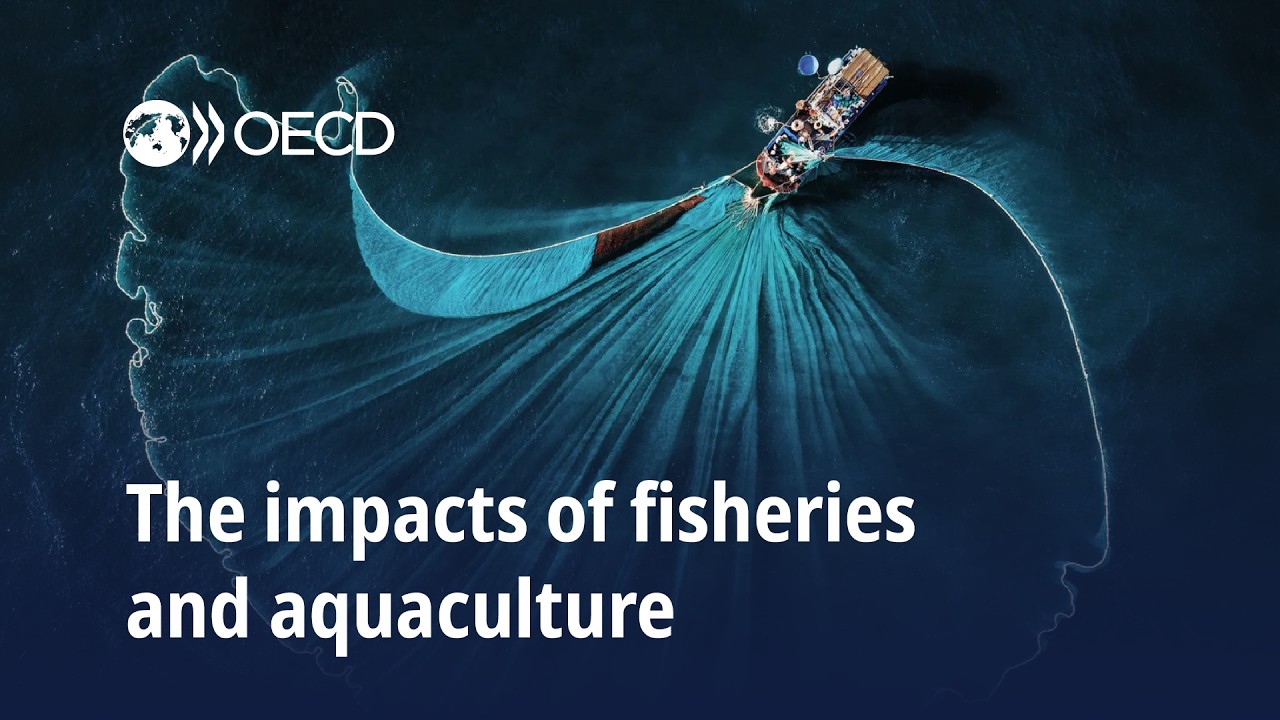 The Impacts of Fisheries and Aquaculture