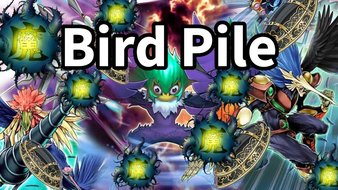 Talking about the new Bird Pile