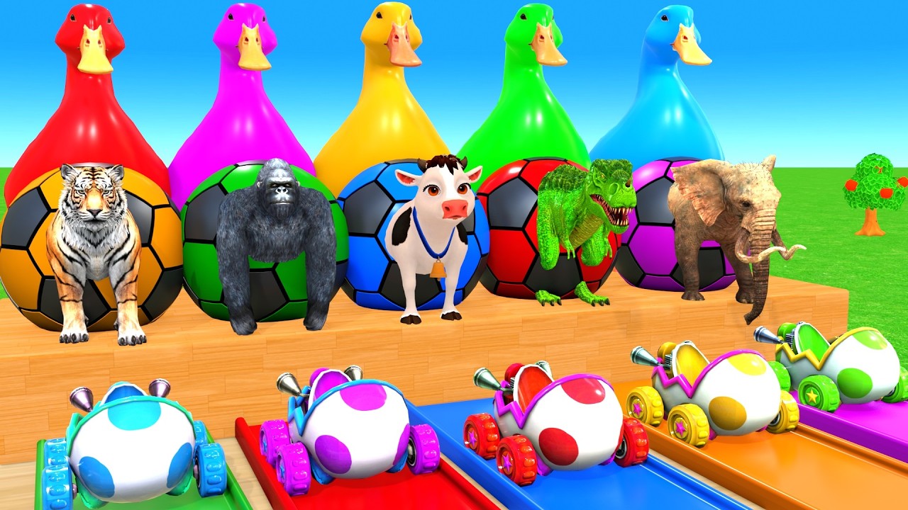 Long Slide Game With Elephant Gorilla Buffalo Hippopotamus Tiger - 3d Animal Game - Funny 3d Animals