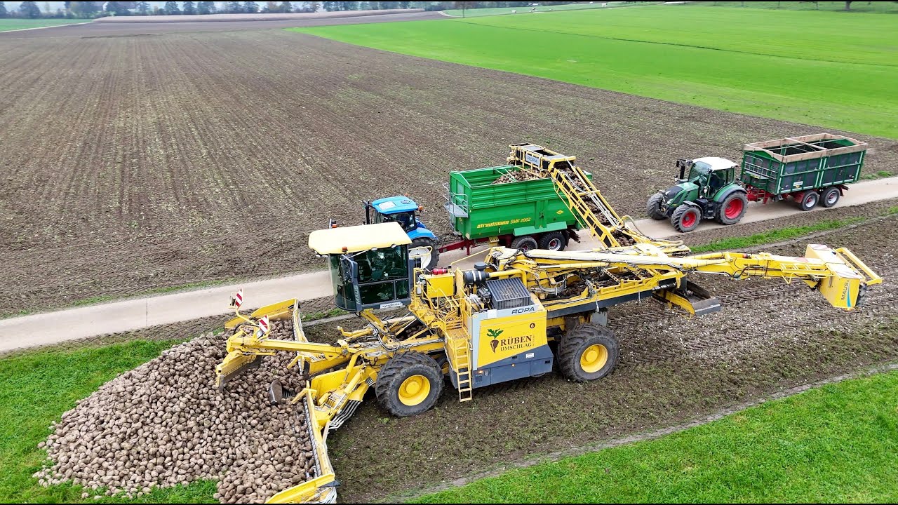 Rübenumschlag Mittelland 🇨🇭  mit Ropa Feldmaus 6d beim Rüben verladen