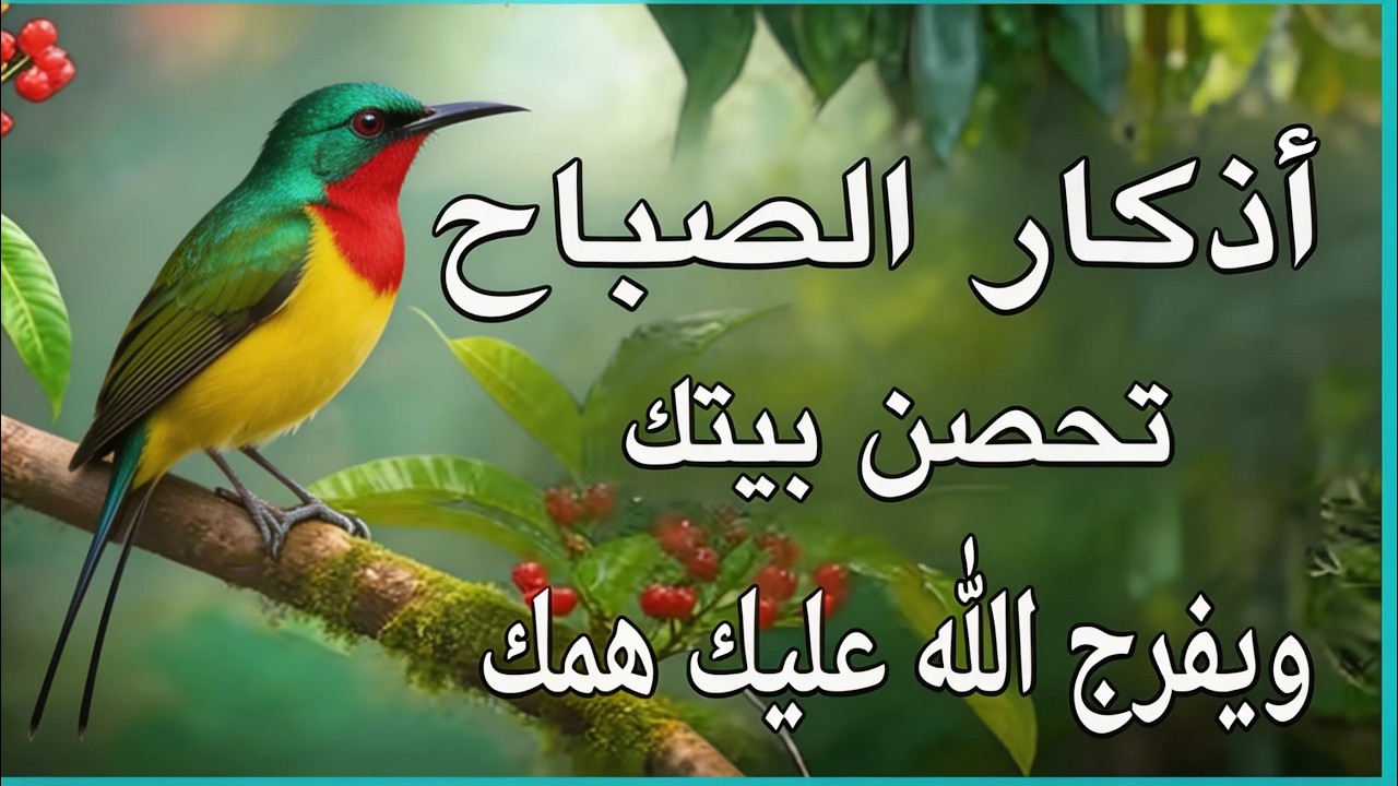 أذكار الصباح بصوت علاء عقل سكينة الروح ونسمات الطمأنينة  Morning Athkar   Divine Peace by Alaa Aql