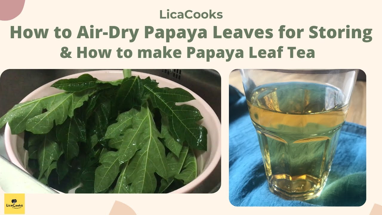 How To Make Papaya Leaf Tea