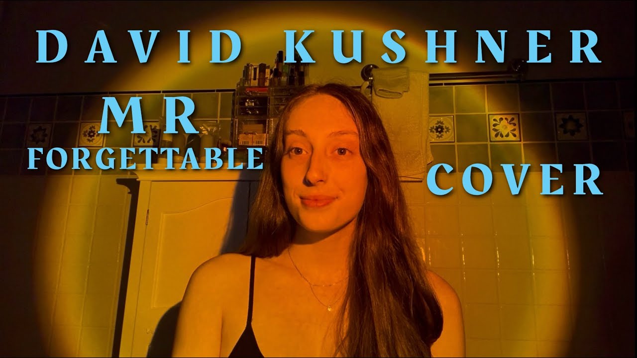 David Kushner Mr Forgettable cover | Michaela Hughes