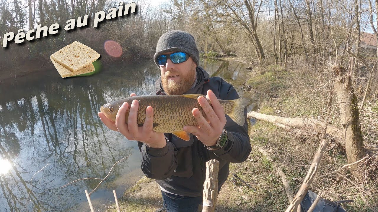 La pêche au pain en rivière réserve de belle surprise !