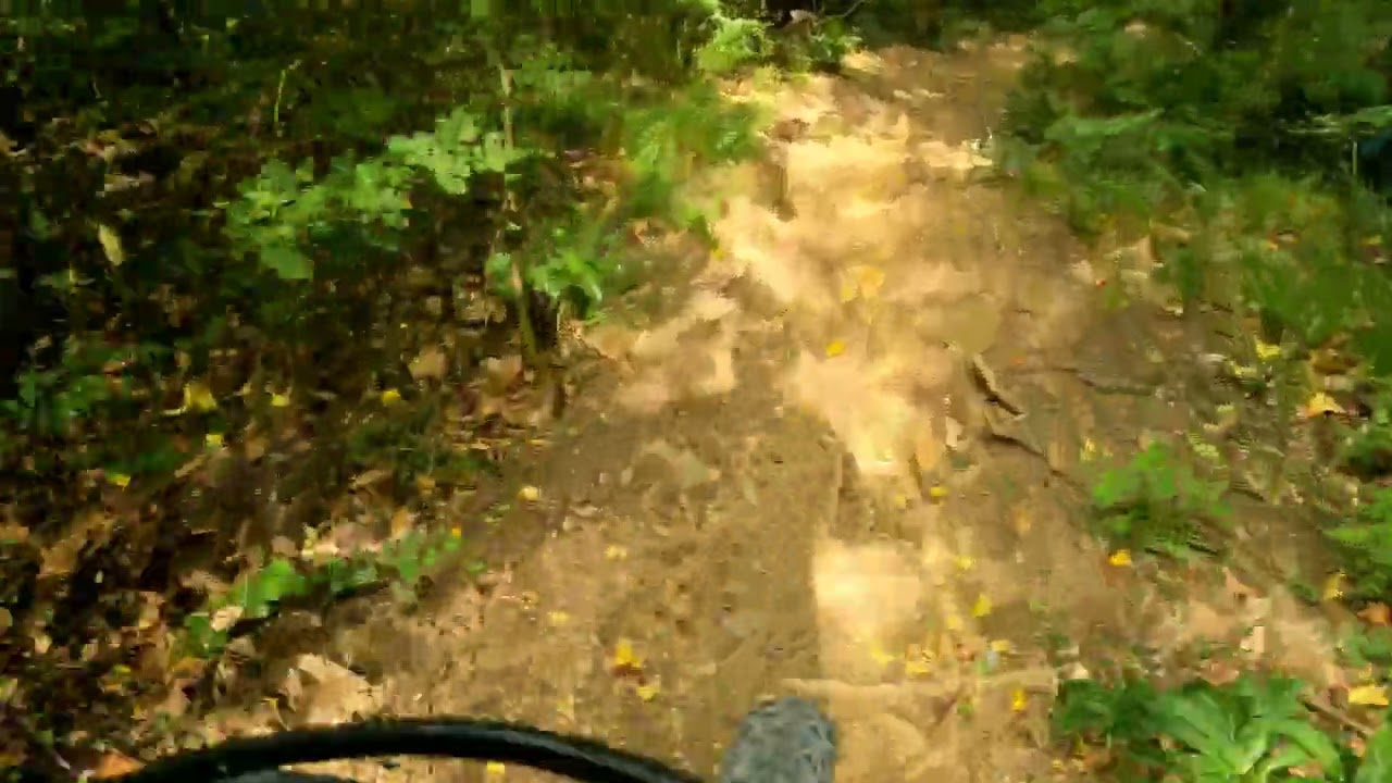 MTB Trieste Trails: Igor (1a parte)