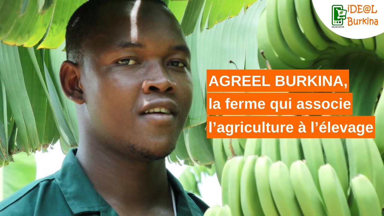 Burkina Faso:  La ferme qui associe l’agriculture à l’élevage