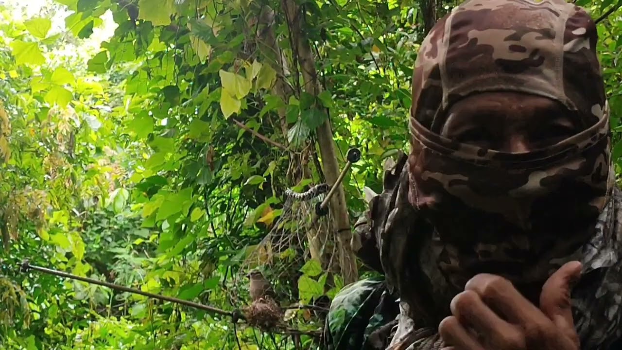 Onang bisis pag hunt naka huli agad se Robin hud