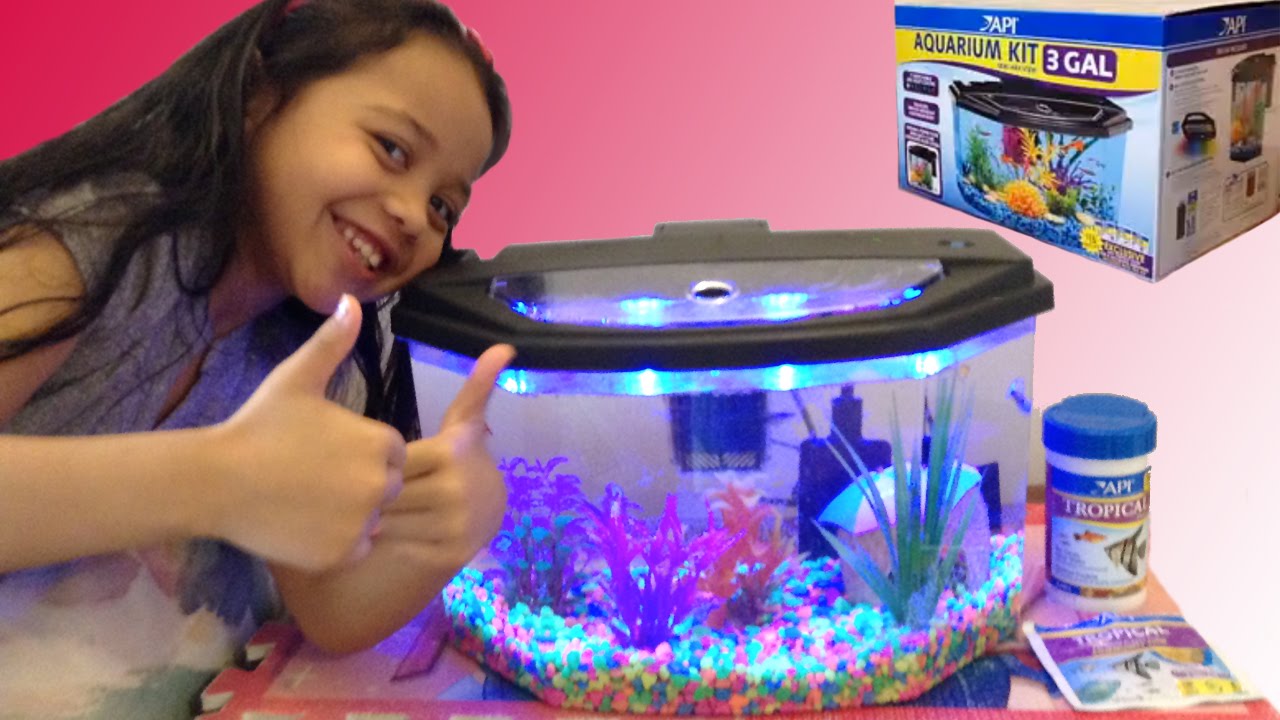 Aquarium Starter Kit Fun With Alanna!