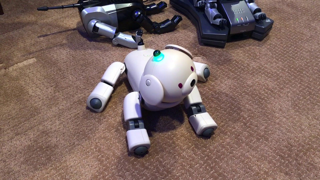 Sony AIBO Chatty Life Software Booting