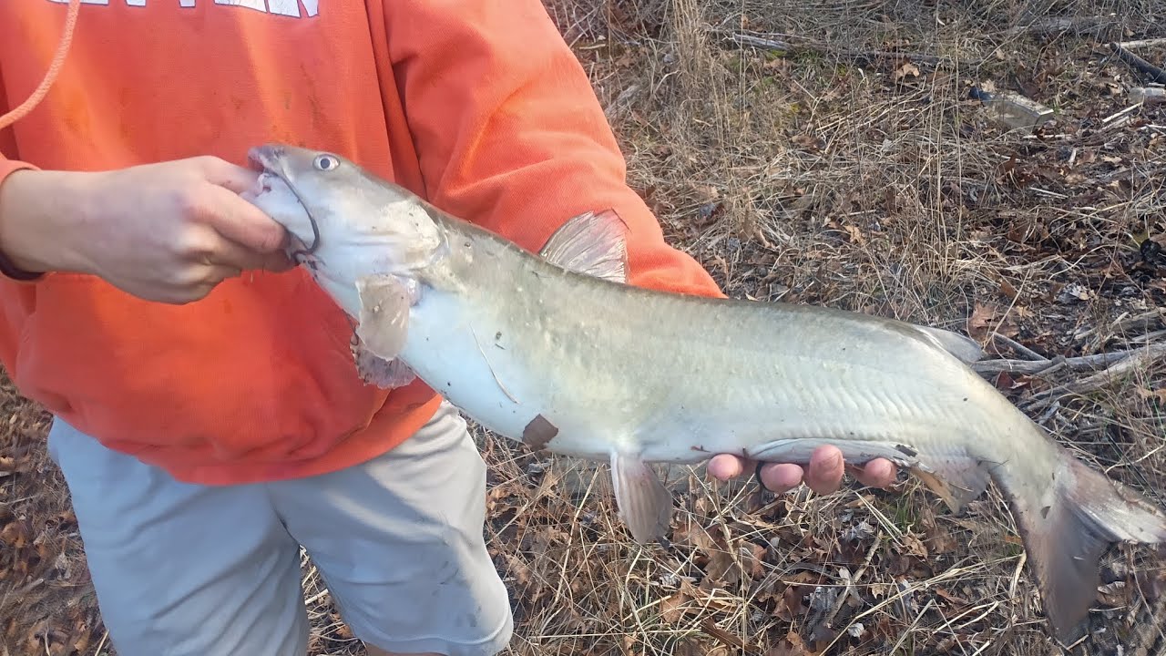 Big fish caught mud river lake