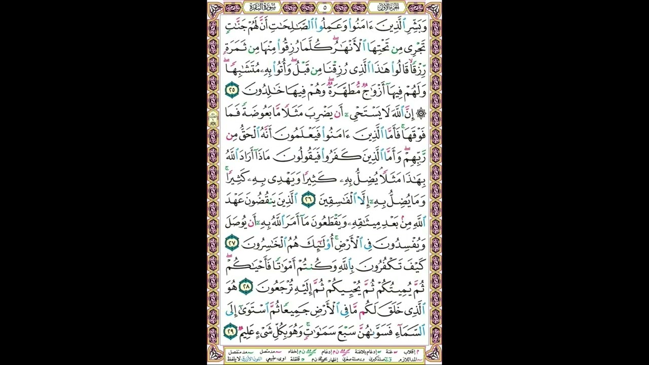 مصحف عبد الله سربل مقطع 1/3 - Abdullah Sarbal Quran section 1/3