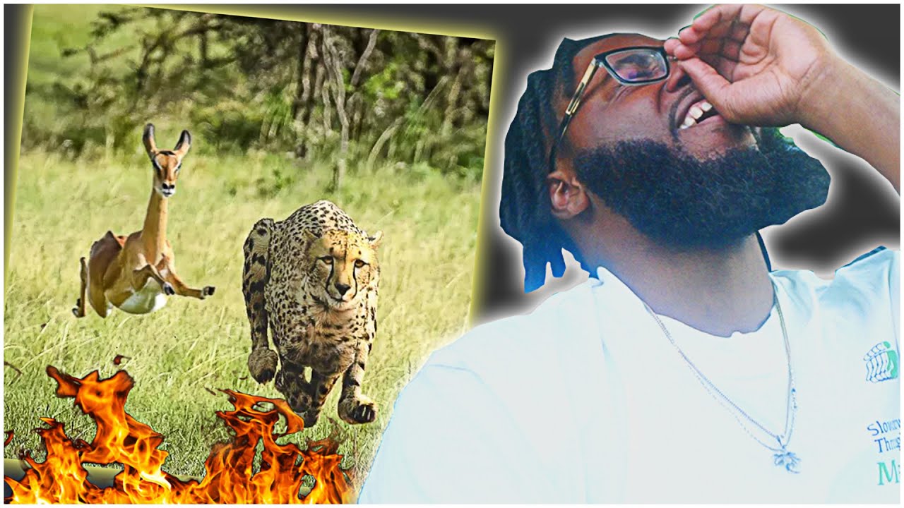 Thundercat & Tame Impala -  No More Lies | REACTION (a collab we needed...)