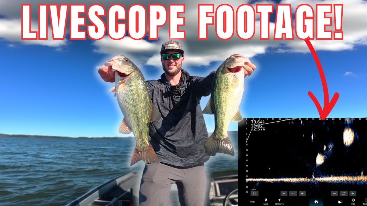 СЕКРЕТ рыбалки на озере Гантерсвилль LIVESCOPE!