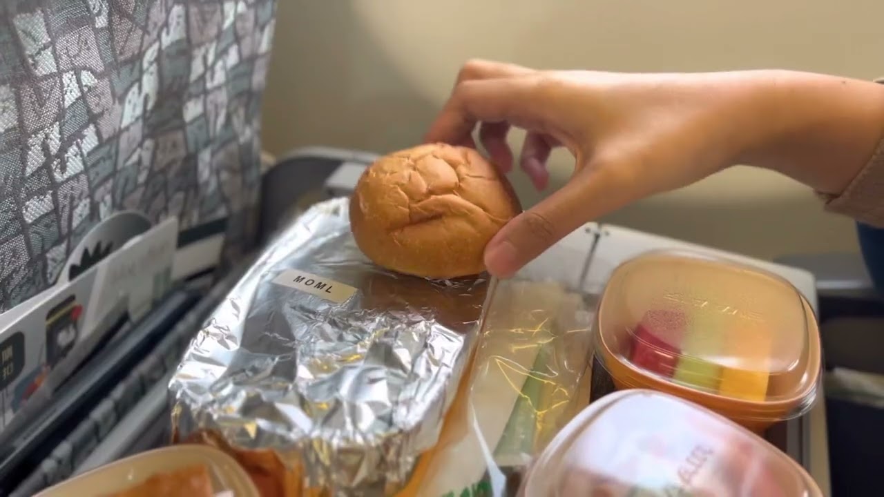 Ke Jepang transit di Taoyuan International Airport (Taiwan) dengan Eva Air