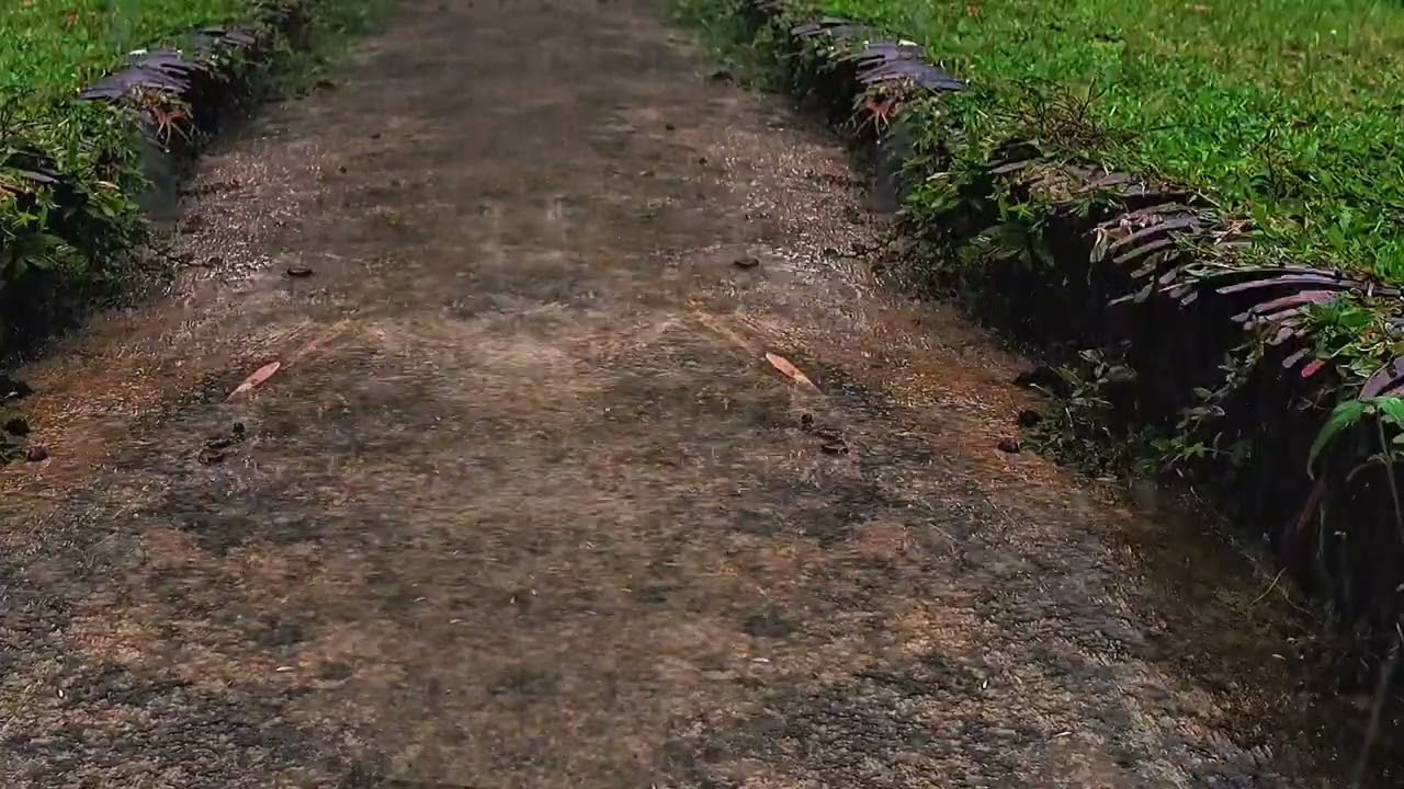 🌧️ Rainwater Flowing Down a Quiet Garden Path | Deep Sleep ASMR