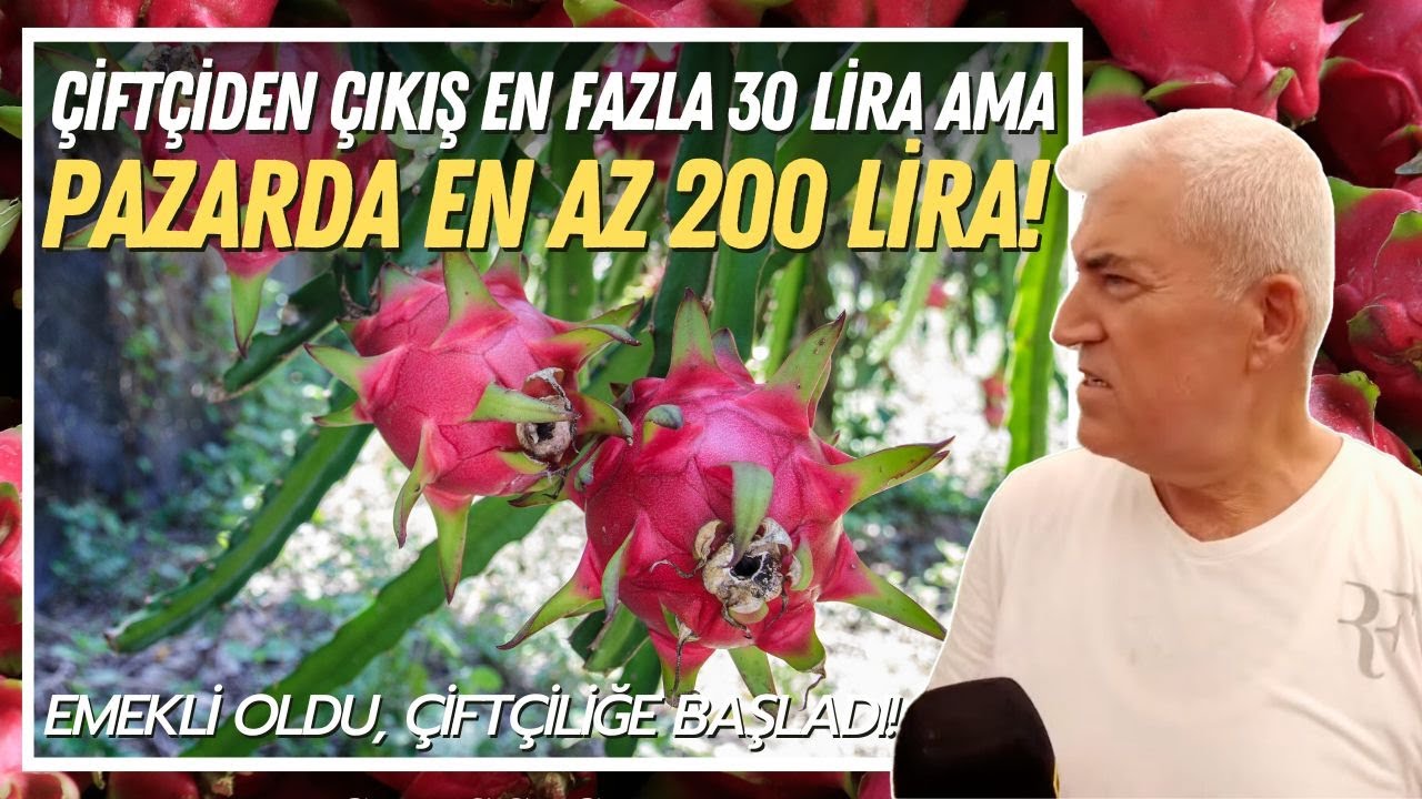 Çiftçiden Çıkış En Fazla 30 Lira, Pazarda En Az 200 Lira! / Emekli Oldu, Ejder Üretmeye Başladı...