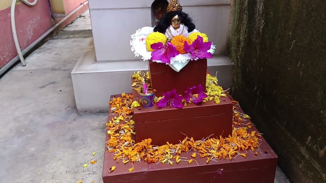 আমাদের গোপালের দোলযাত্রা (our dolyatra /holi 2026) 🫧