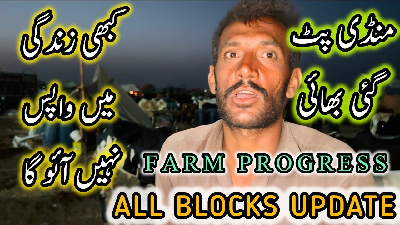 Northern Bypass Mandi Latest Rates & Bargaining | Cow Mandi 2025 | Bakra Eid Season 2025