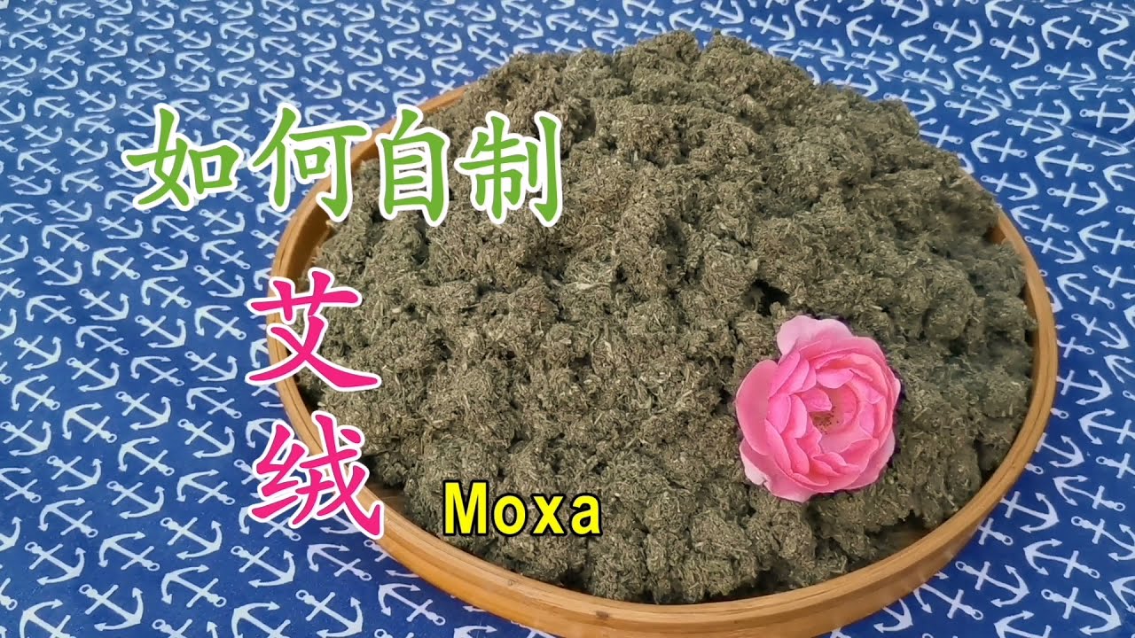 如何自制艾绒 千万不要扔了你种的艾草 太有用了 Homemade Moxa