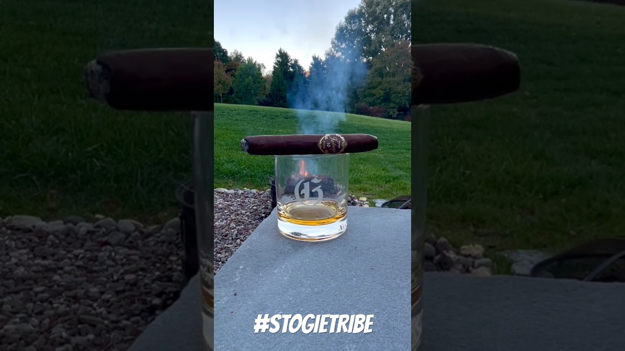 Relaxing Cigar and Bonfire on a Chilly Autumn Evening🔥🍂🥃 #ASMR #CIGARS #RELAXING #TRENDING