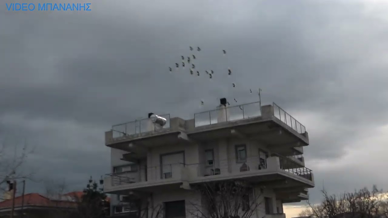 ΣΤΗΝ ΤΑΡΑΤΣΑ Ο ΣΥΚΙΩΤΗΣ ΠΕΤΞΕ ΑΓΓΕΛΟΥΣ ΑΜΠΕΛΩΝΑΣ 2026