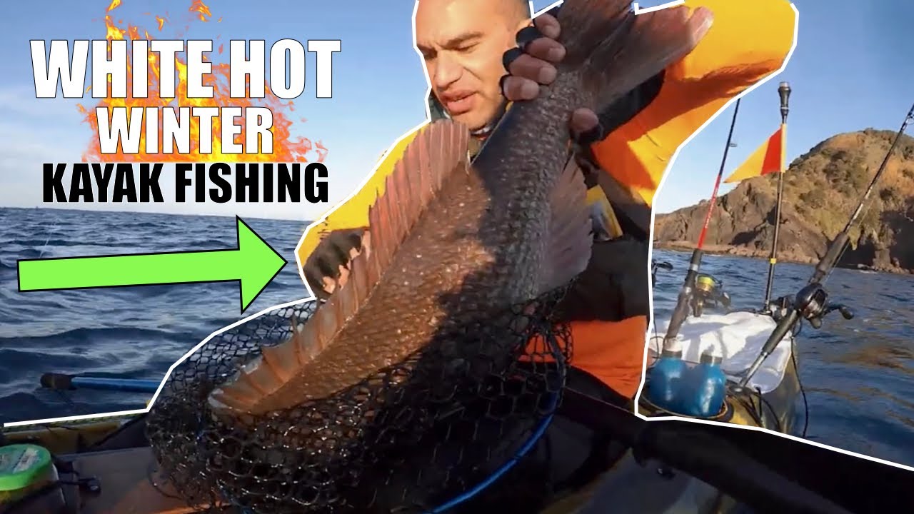 Catching and Releasing 20lb+ Snapper | Great Barrier Island 3.0
