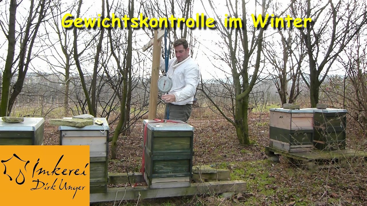 Januar 2014 : Futterkontrolle bei den Bienenvölkern im Winter
