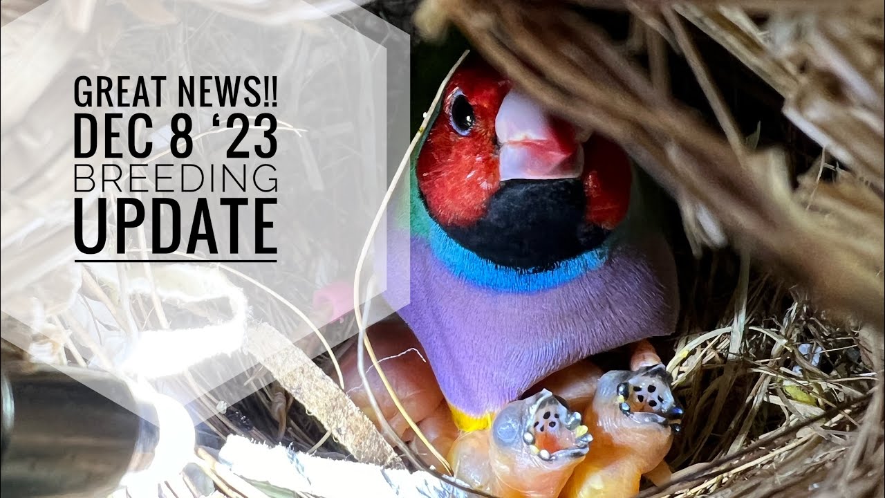 Great News! Dec 8 ‘23