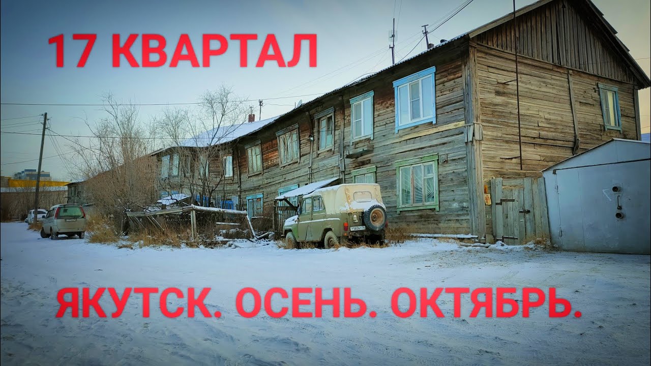 Поход на 17 квартал. ул. Свердлова, Жорницкого. 17 квартал. Собаки. Якутск. Октябрь.