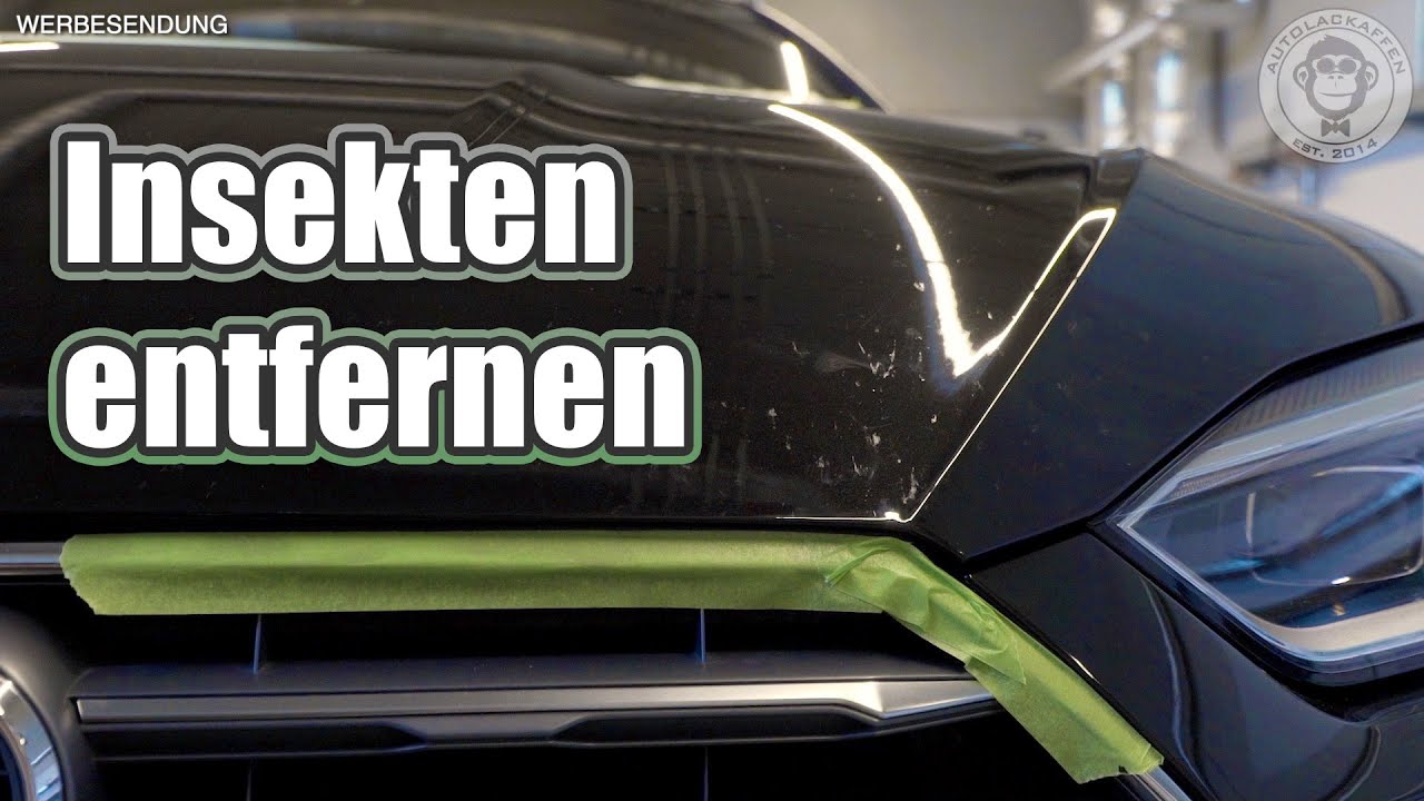 Insekten entfernen I Insektenreste weg polieren I AUTOLACKAFFEN