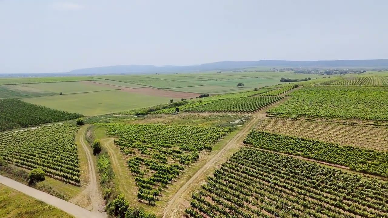 Fl&uuml;stern aus der H&ouml;he:Gro&szlig;karlbach Rheinland-Pfalz