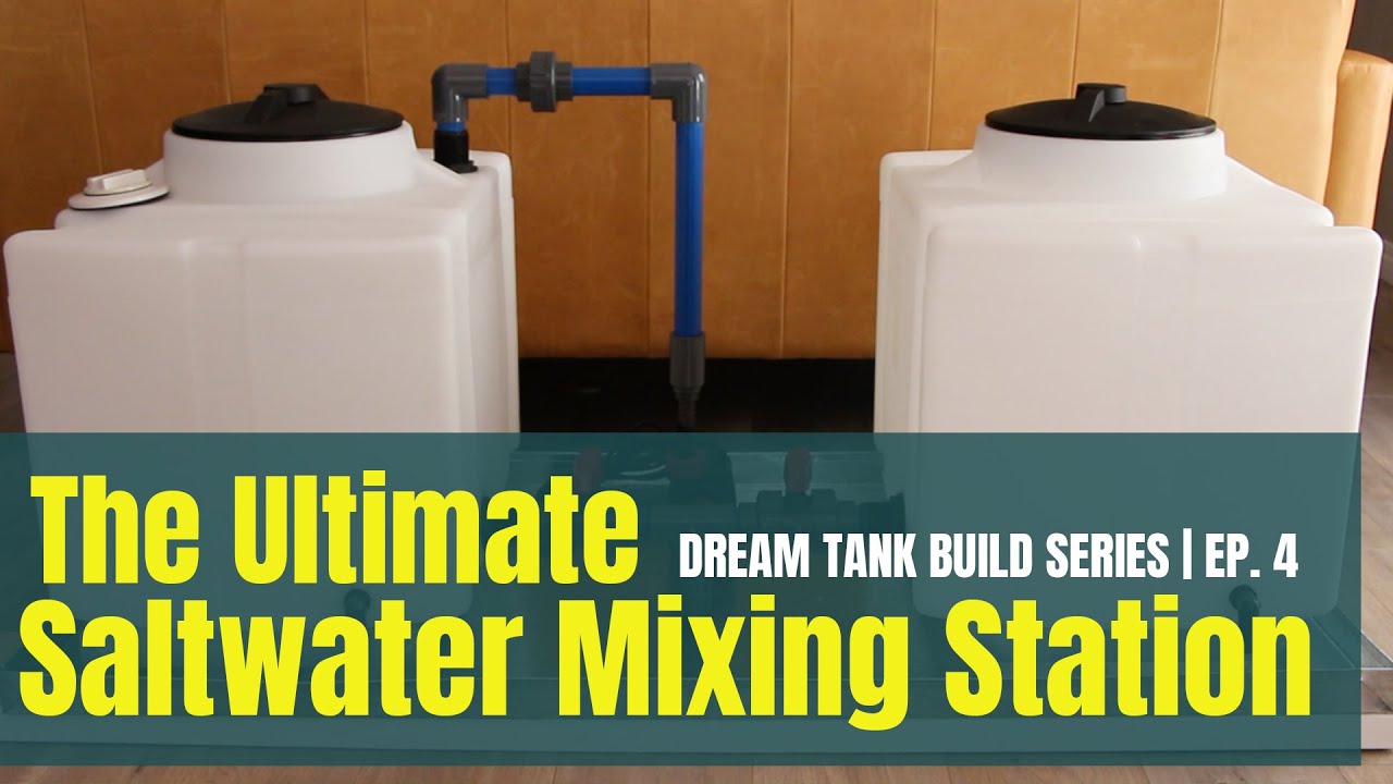 Dream Reef Tank Build Series | Ep. 4 | Saltwater Mixing Station