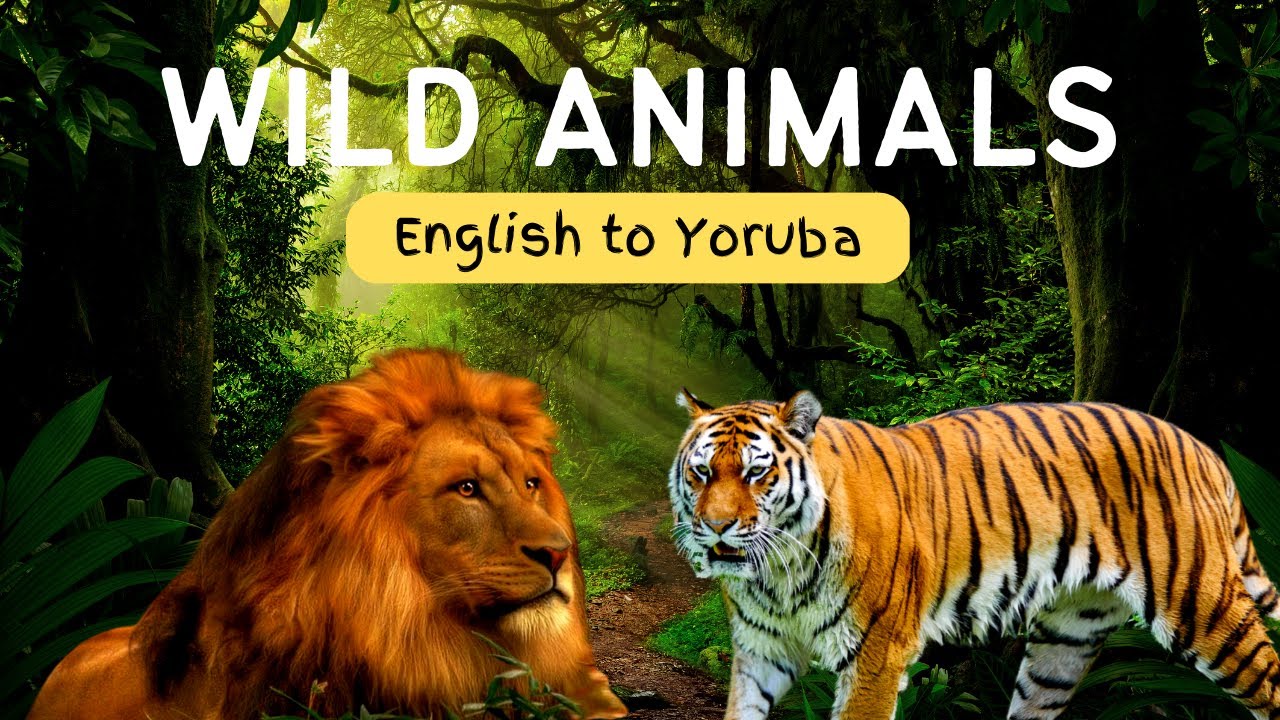 WILD ANIMAL NAMES & SOUNDS IN YORUBA FOR KIDS TO LEARN| Orukọ́ Ẹranko ni Èdè Yorùbá |  ZOO ANIMALS