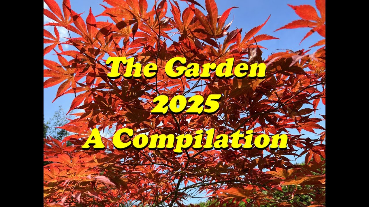 The Garden 2025  A compilation