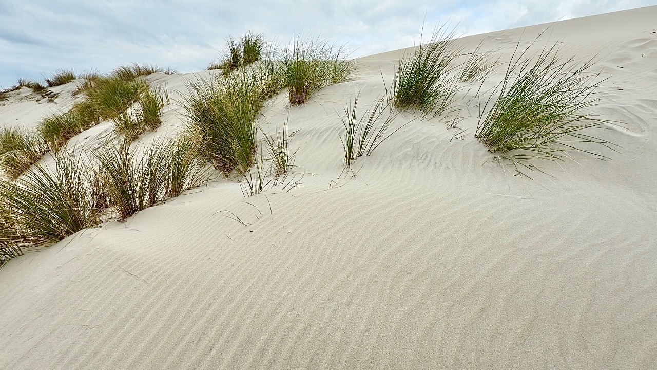 Deserto di sabbia fine e bianca in Sardegna