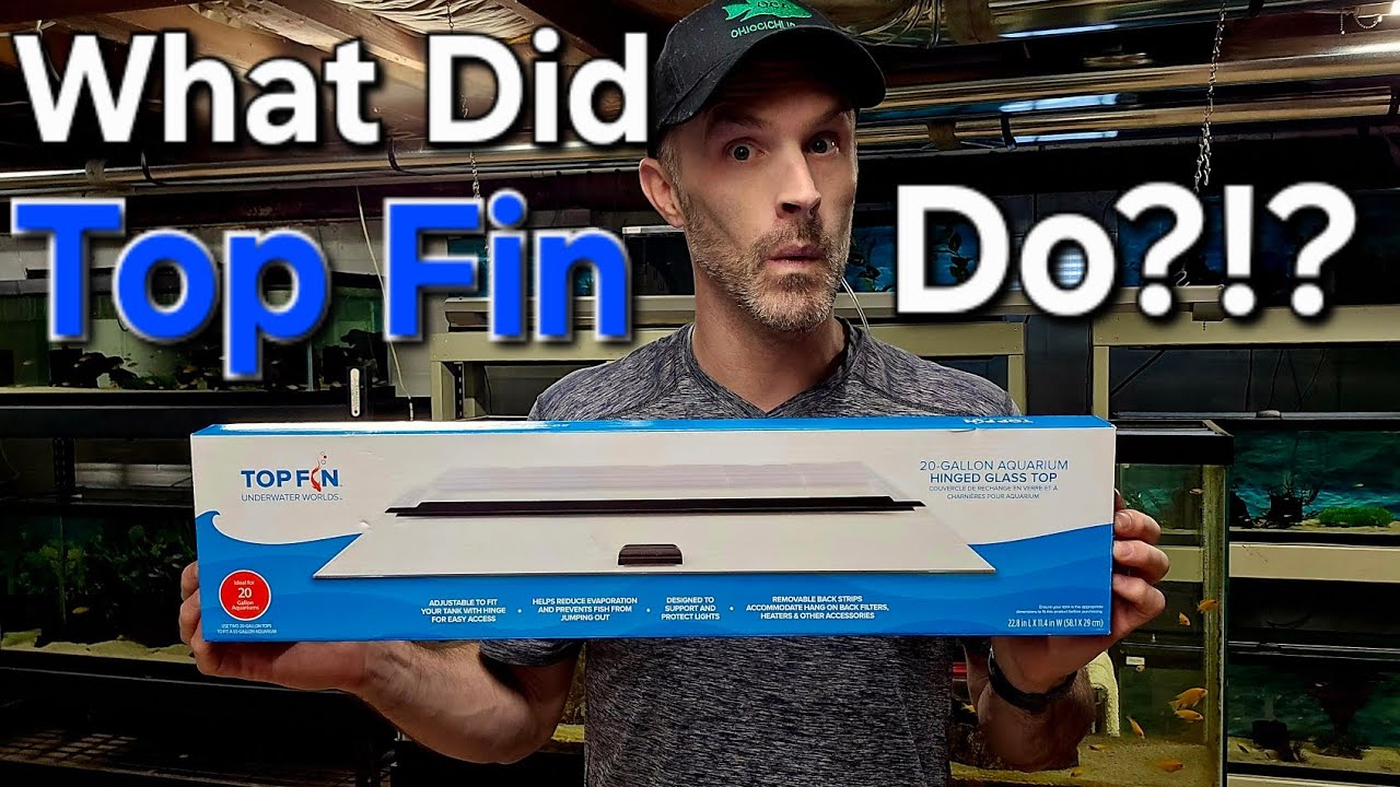 Top Fin Glass Top Upgrade!