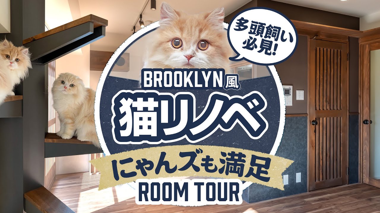 【至高のリノベーション】多頭飼い必見！猫と暮らす贅沢ヴィンテージマンションをルームツアー