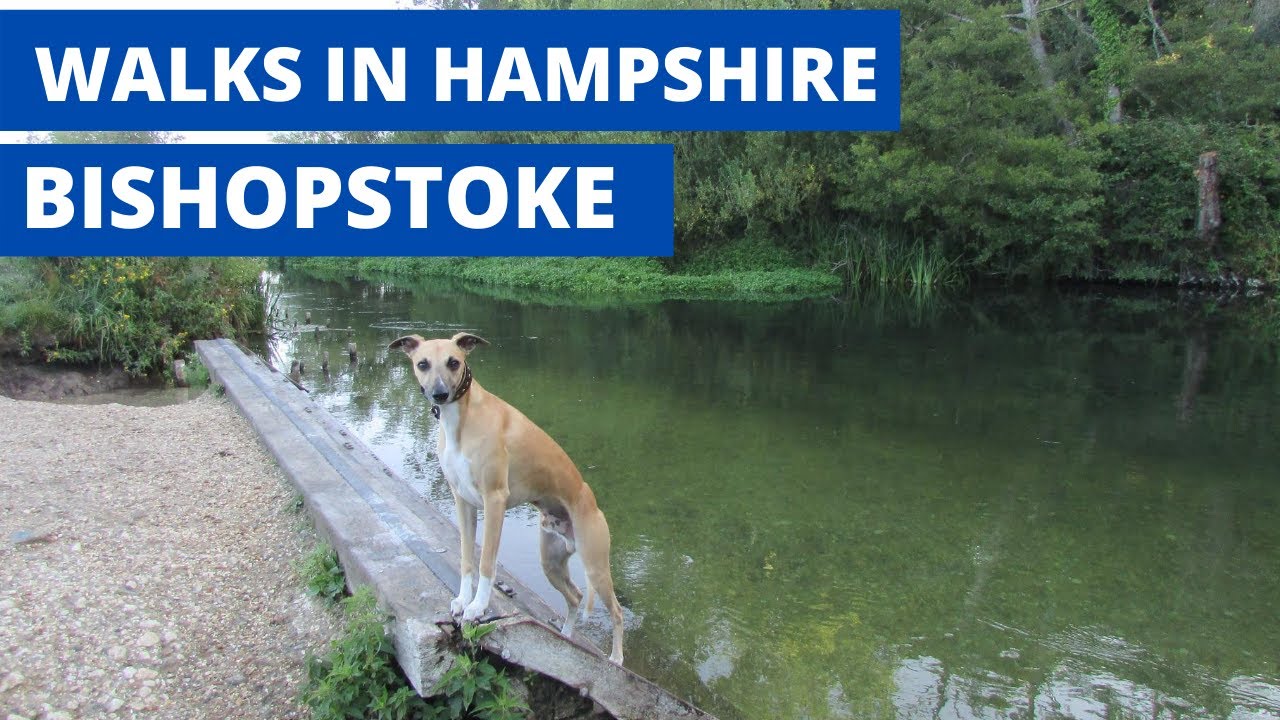 WALKS IN HAMPSHIRE at BISHOPSTOKE ( RIVER ITCHEN)