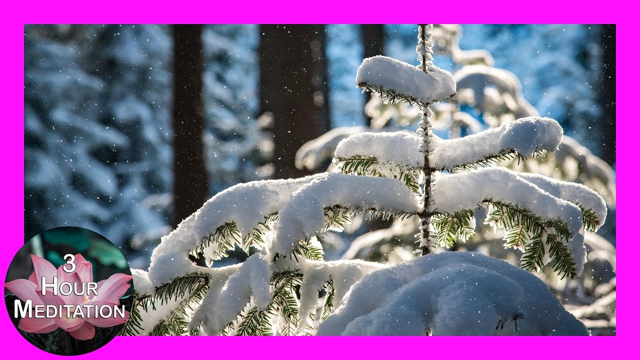 Snowfall on Fir | Calming Meditation & Sleep Music | 3 Hours