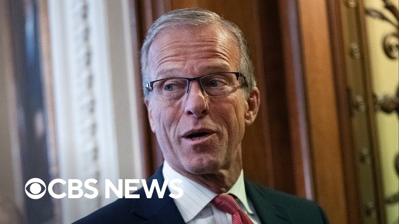 Thune under pressure from Trump to fire Senate parliamentarian over voter ID bill