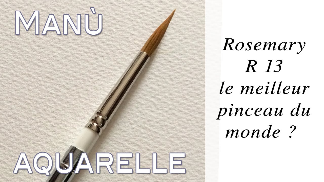 Rosemary brush R13, le meilleur du monde ?