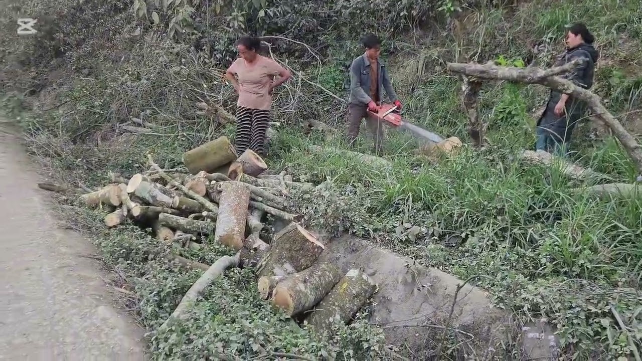 Lo pab kuv niam nkawv txiav taw