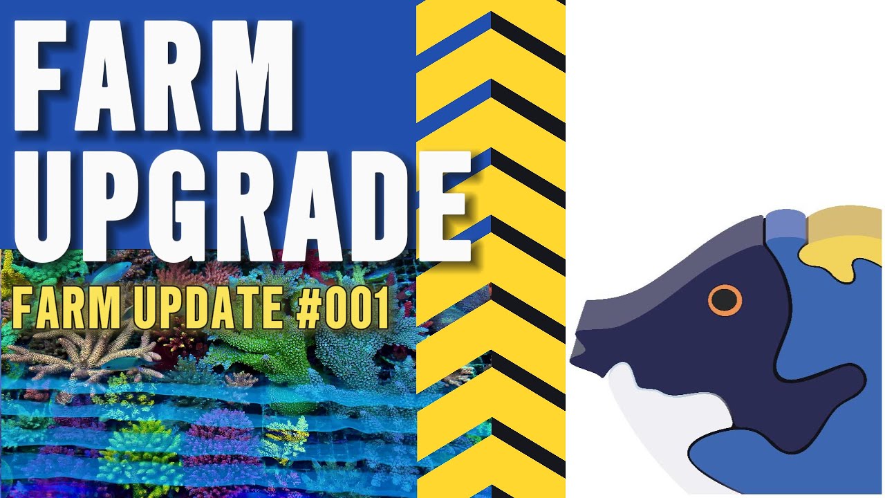 Leonardo's Reef | Farm Update #001